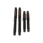 Shock Absorber Set