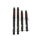 Shock Absorber Set