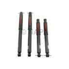 Shock Absorber Set