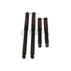 Shock Absorber Set