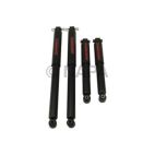 Shock Absorber Set