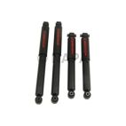 Shock Absorber Set