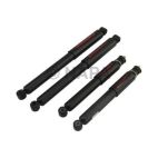 Shock Absorber Set