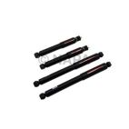 Shock Absorber Set