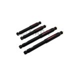 Shock Absorber Set