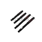 Shock Absorber Set