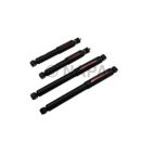 Shock Absorber Set