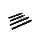 Shock Absorber Set