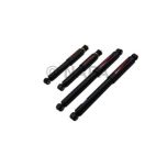 Shock Absorber Set