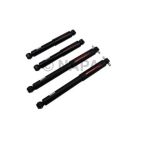 Shock Absorber Set