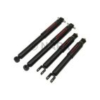 Shock Absorber Set