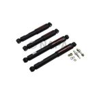 Shock Absorber Set