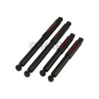 Shock Absorber Set