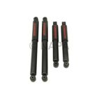 Shock Absorber Set