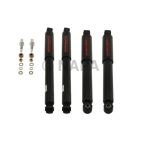 Shock Absorber Set