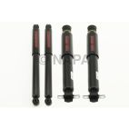 Shock Absorber Set