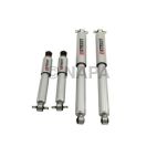 Shock Absorber Set