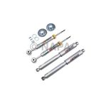 Shock Absorber Set
