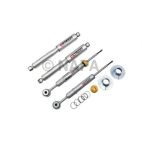 Shock Absorber Set