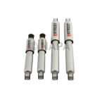 Shock Absorber Set