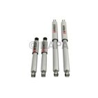 Shock Absorber Set