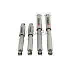 Shock Absorber Set