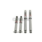 Shock Absorber Set