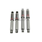 Shock Absorber Set