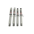 Shock Absorber Set