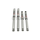 Shock Absorber Set