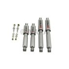Shock Absorber Set