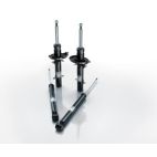 Shock Absorber and Strut Kit