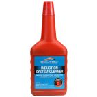 INTAKE SYSTEM CLEANER