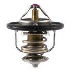 Engine Coolant Thermostat