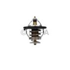 Engine Coolant Thermostat