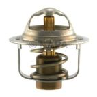 Engine Coolant Thermostat