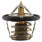 Engine Coolant Thermostat