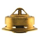 Engine Coolant Thermostat