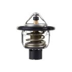 Engine Coolant Thermostat