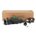 Suspension Strut Assembly
