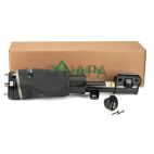 Suspension Strut Assembly