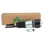 Suspension Strut Assembly