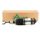 Suspension Strut Assembly