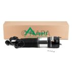Suspension Strut Assembly