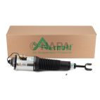 Suspension Strut Assembly