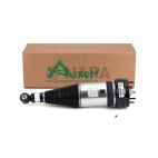 Suspension Strut Assembly