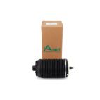 REAR RGT/AIR SPRING