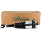 Suspension Strut Assembly