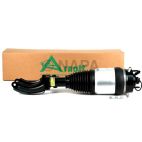 Suspension Strut Assembly