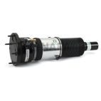 Suspension Strut Assembly